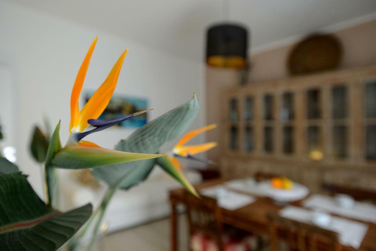 B&B Alghero 82 מראה חיצוני תמונה